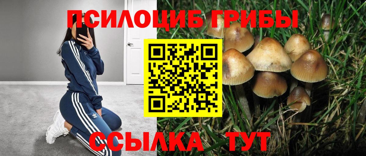 Мурманск  наркотики  Вход с VPN  Галлюциногенные грибы прущие грибы 